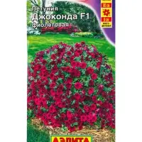 Семена цветов Петуния Джоконда F1 фиолетовая (драже в пробирке) С. Farao, Ц/П,5 шт. Семена цветов Петуния Джоконда F1 фиолетовая (драже в пробирке) С. Farao, Ц/П,5 шт.