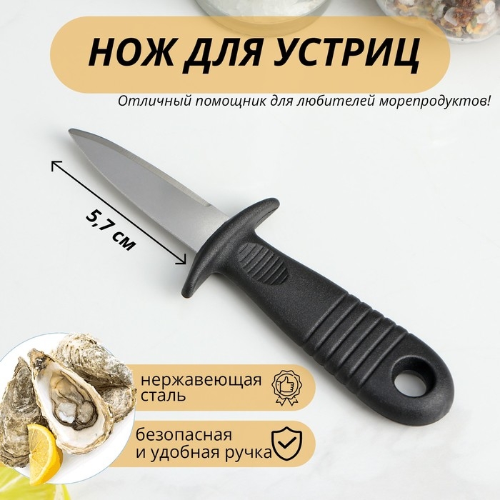 Нож для устриц Доляна, 14×4,4 см, длина лезвия 5,7см, цвет чёрный Нож для устриц Доляна, 14×4,4 см, длина лезвия 5,7см, цвет чёрный