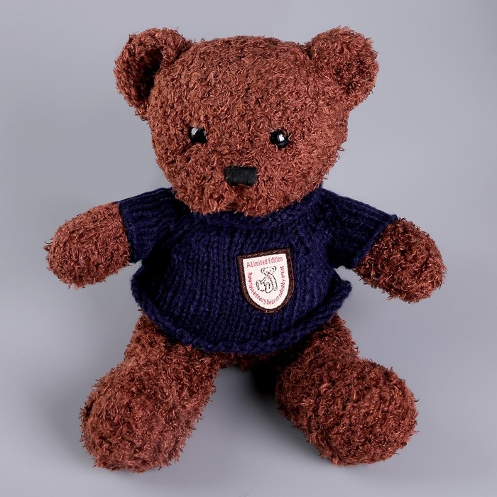 Мягкая игрушка «Медведь» в кофте, 28 см, цвет МИКС