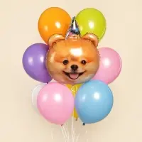 Воздушный шар фольгированный 28" «Собака в колпачке» Воздушный шар фольгированный 28" «Собака в колпачке»