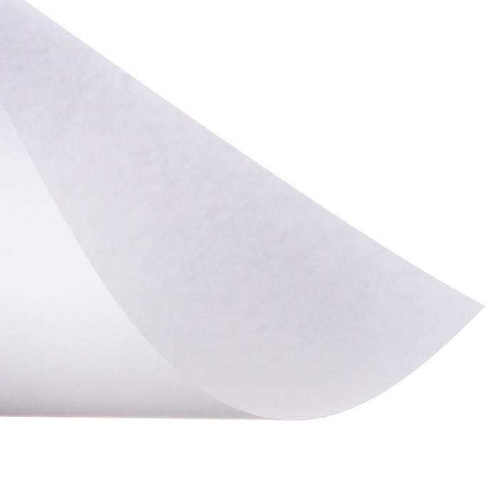 Набор ватманов чертёжных А3, 200 г/м², 20 листов Набор ватманов чертёжных А3, 200 г/м², 20 листов