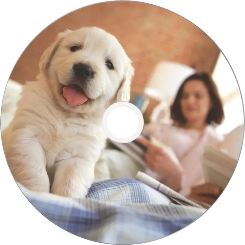 Носители информации DVD-R Verbatim 4.7Gb 16x Cake 50шт/уп Printable (43755)