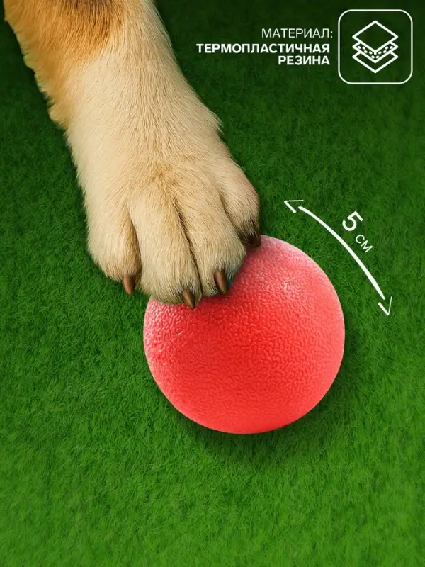 Игрушка для собак &laquo;Цельнолитой шар&raquo;, большая, 5 см, каучук, красная