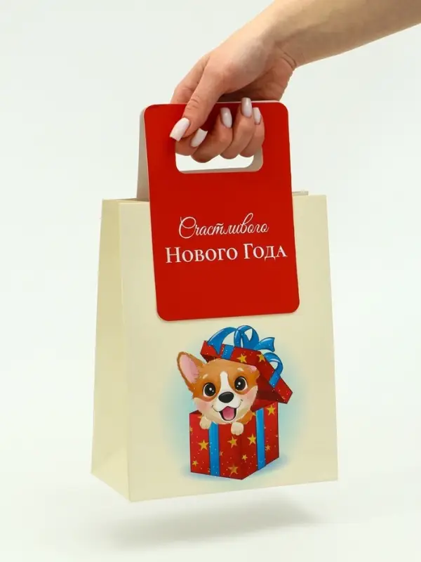 Пакет подарочный с вырубной ручкой «Лучший подарок»18×23×9 см, красный Пакет подарочный с вырубной ручкой «Лучший подарок»18×23×9 см, красный