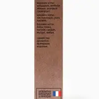 Туалетная вода мужская New Scent Touch The Ice, 100 мл