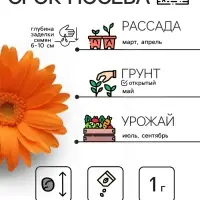 Семена цветов Календула &laquo;Радио&raquo;, 0.3 г, &laquo;Рецепты дедушки Никиты&raquo;