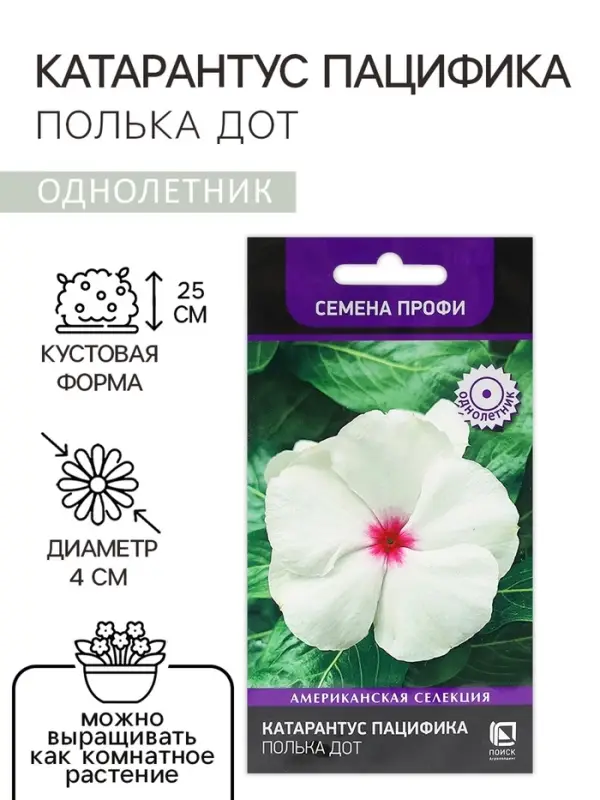 Семена цветов Катарантус Пацифика   Семена цветов Катарантус Пацифика  "Полька Дот" 10 шт