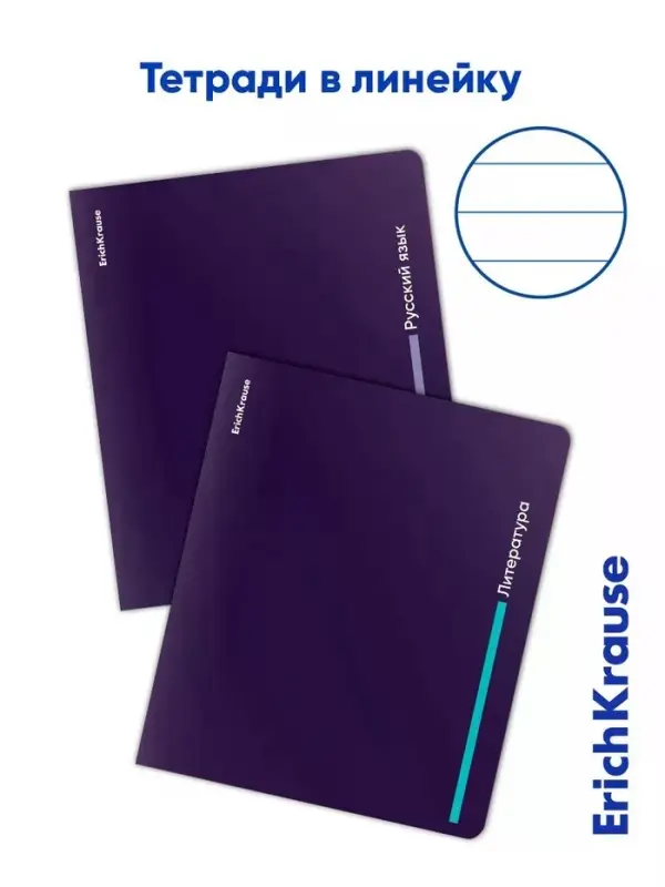 Набор предметных тетрадей ErichKrause Indigo, 12 предметов, 48 листов, с пластиковой обложкой