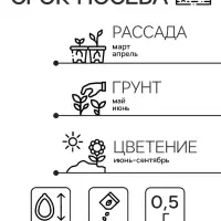 Семена цветов Душистый горошек "Шоколадный крем", 0,5 г Семена цветов Душистый горошек "Шоколадный крем", 0,5 г
