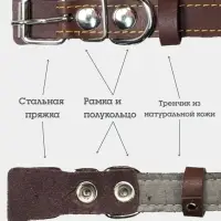 Ошейник, 50&times;2.5 см, подклад из ватина, кожа, коричневый