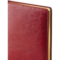 Ежедневник недатированный A6+, 136л, SIDNEY NEBRASKA бордовый 3-496/01