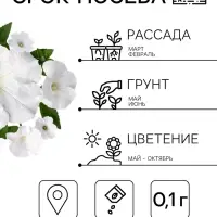 Семена цветов Петуния &laquo;Снежный шар&raquo;, многоцветковая, 0.1 г, &laquo;Агрофирма АЭЛИТА&raquo;
