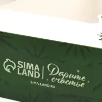 Коробка складная &laquo;С Новым годом!&raquo;, еловые веточки, 20&times;23&times;4 см