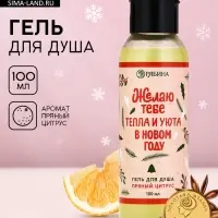 Гель для душа &laquo;Тепла и уюта в Новом году!&raquo;, 100 мл, аромат пряного цитруса, Чистое счастье
