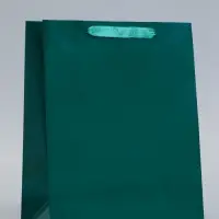 Пакет подарочный ламинированный &laquo;Зелёный&raquo;, 26&times;32&times;12 см