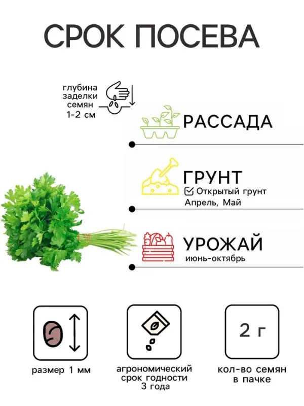 Семена Петрушка кудрявая &laquo;Ароматная аллея&raquo;, 2 г, &laquo;Аэлита&raquo;