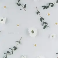 Бумага упаковочная крафт &laquo;Цветы&raquo;, 70&times;100 см