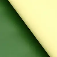 Пленка для цветов, двусторонняя, зелёная, 0.6&times;10 м