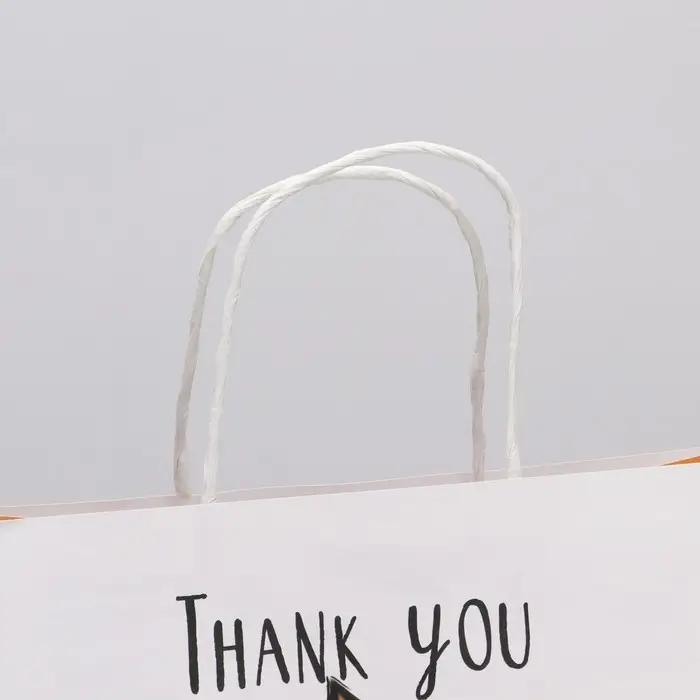 Пакет подарочный, упаковка, «Благодарю», 22 х 22 х 11 см