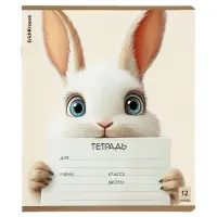 Тетрадь 12 листов в линейку ErichKrause Note Friends, МИКС