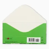 Конверт для денег &laquo;В День Рождения&raquo;, розы, 16,5 х 8 см