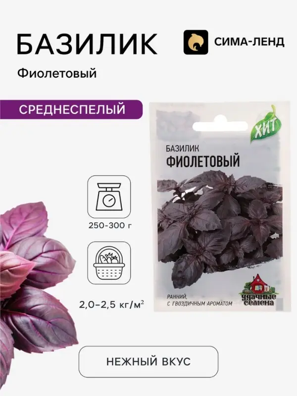 Семена Базилик &laquo;Фиолетовый&raquo;, 0.1 г, ранний, &laquo;Удачные семена&raquo;