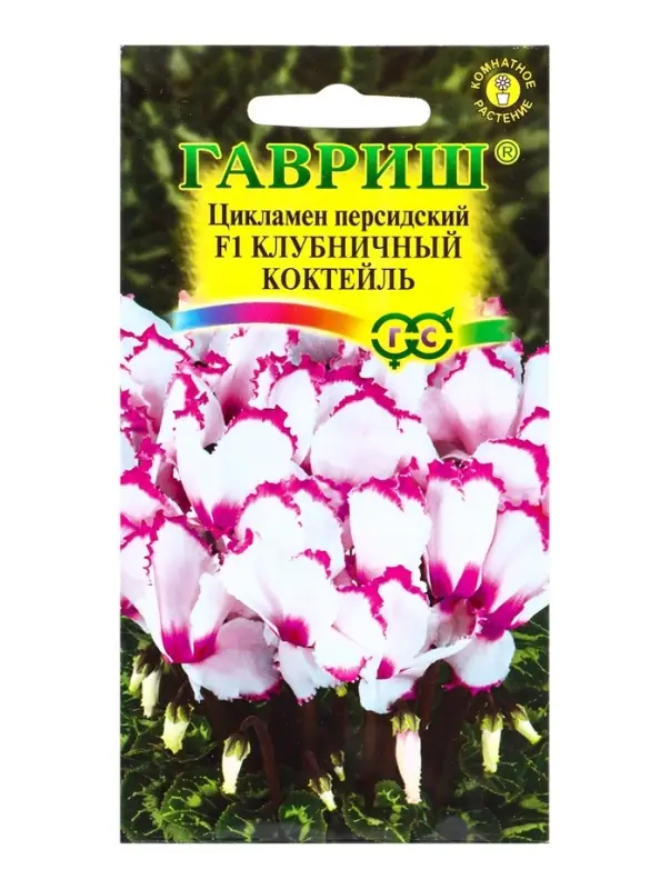 Семена цветов Цикламен Клубничный коктейль, персидский, ароматный * 3 шт.