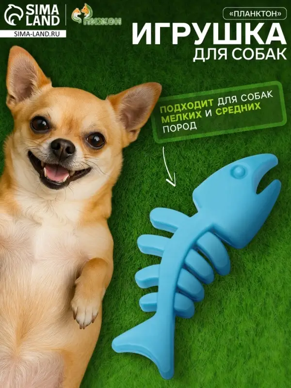 Жевательная игрушка для собак &laquo;Планктон&raquo;, 12.5 см, TPR, голубая