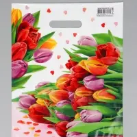 Пакет "Март", полиэтиленовый с вырубной ручкой, 31х40 см, 60 мкм