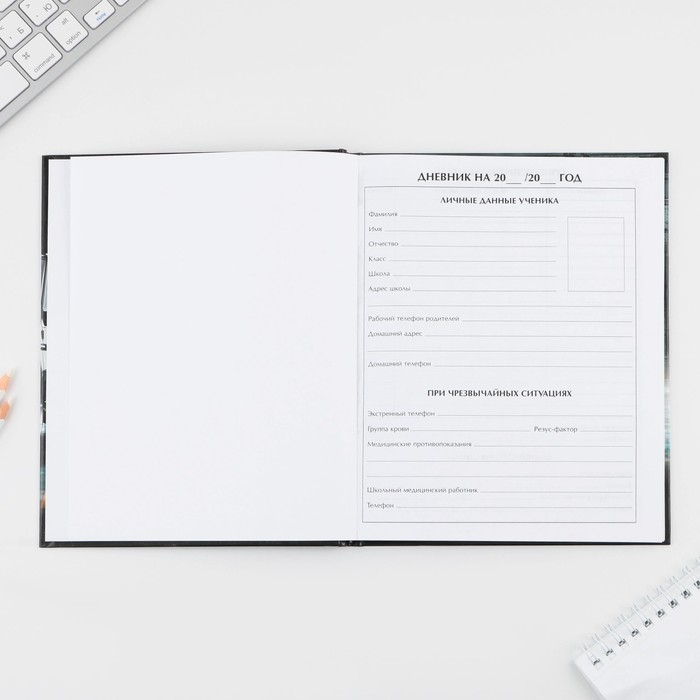 Дневник школьный 1-4 класс &laquo;Первый во всём&raquo;, твердая обложка 7БЦ, глянцевая ламинация, 48 листов