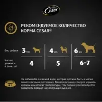 Влажный корм Cesar для собак, паштет с ягнёнком, пауч, 80 г Влажный корм Cesar для собак, паштет с ягнёнком, пауч, 80 г