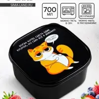 Ланч - бокс квадратный &laquo;Кот&raquo;, 700 мл