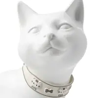 Ошейник для кошек &laquo;Пижон. Котя&raquo;, 30&times;1 см, со светоотражающим покрытием, серый