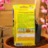 Набор семян Петуния Софистика черная F1 крупноцветковая, 4 шт., 2 шт. Набор семян Петуния Софистика черная F1 крупноцветковая, 4 шт., 2 шт.