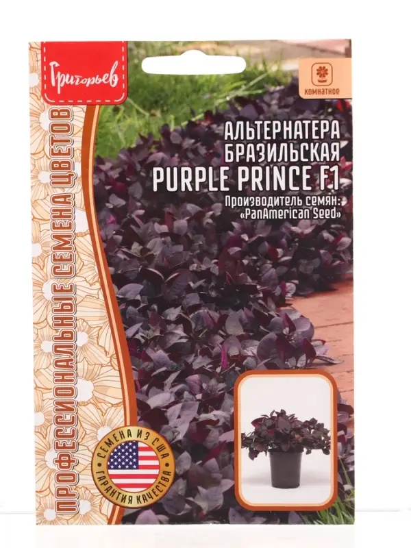 Семена цветов Альтернатера Purple Prince F1 бразильская  3шт. 12.29 г.