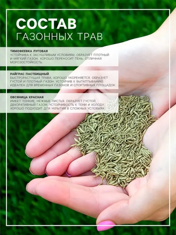 Семена Газонная травосмесь Быстрый газон", 1 кг