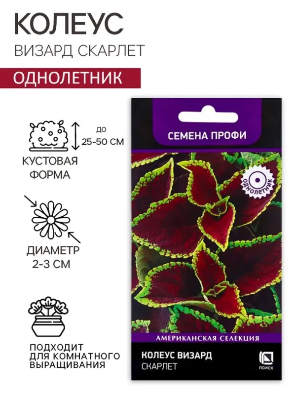 Семена цветов Колеус Визард Скарлет, 10шт Семена цветов Колеус Визард Скарлет, 10шт