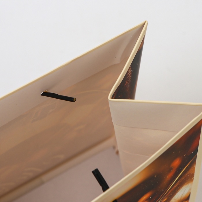 Пакет ламинированный «Золотые шары», MS 23 × 18 × 10 см Пакет ламинированный «Золотые шары», MS 23 × 18 × 10 см