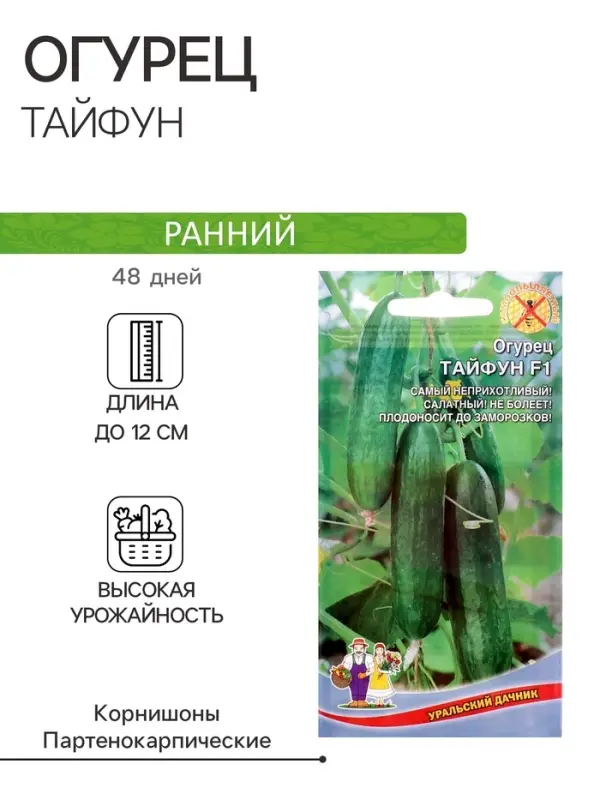 Семена Огурец "Тайфун" F1, раннеспелый, партенокарпический, 5 шт