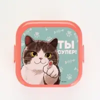 Ланч-бокс двухуровневый &laquo;Котик&raquo;, розовый, 700 мл