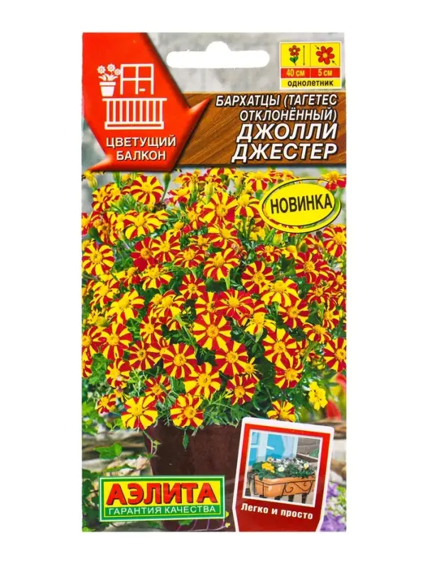 Семена цветов Бархатцы Джолли Джестер отклоненные Цветущий балкон, Ц/П,0,1 г Семена цветов Бархатцы Джолли Джестер отклоненные Цветущий балкон, Ц/П,0,1 г