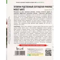 Семена Экзакум родственный Midget White, 10 шт., &laquo;Григорьев&raquo;