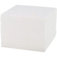 Салфетки бумажные FOCUS Economic Choice белые 24x24 см 1сл 100 шт/уп МСК