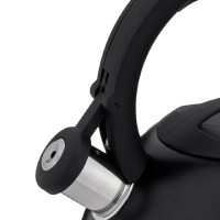 Чайник Kettle ss induction N4180417, для всех видов плит