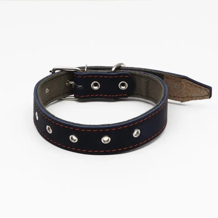 Ошейник комбинированный, безразмерный, 70&times;3.5 см, ОШ 25-60 см, кожа, брезент, синий