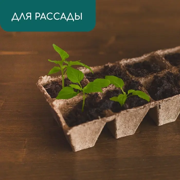 Кассета для рассады, 30&times;15&times;8 см, 8 ячеек по 150 мл, торф, 6&times;6 см