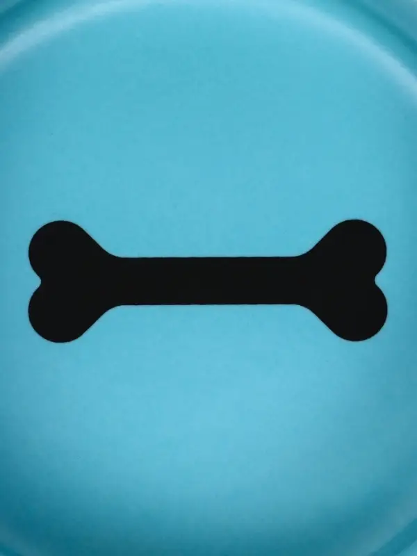 Миска &laquo;Лапки&raquo;, 180 мл, 10.5&times;10.5&times;4 см, матовая, керамика, голубая