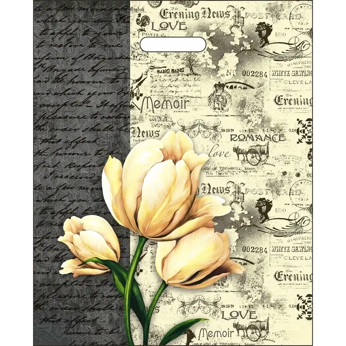 Пакет &laquo;Мемуары&raquo;, полиэтиленовый, с вырубной ручкой, 38&times;47 см, 60 мкм