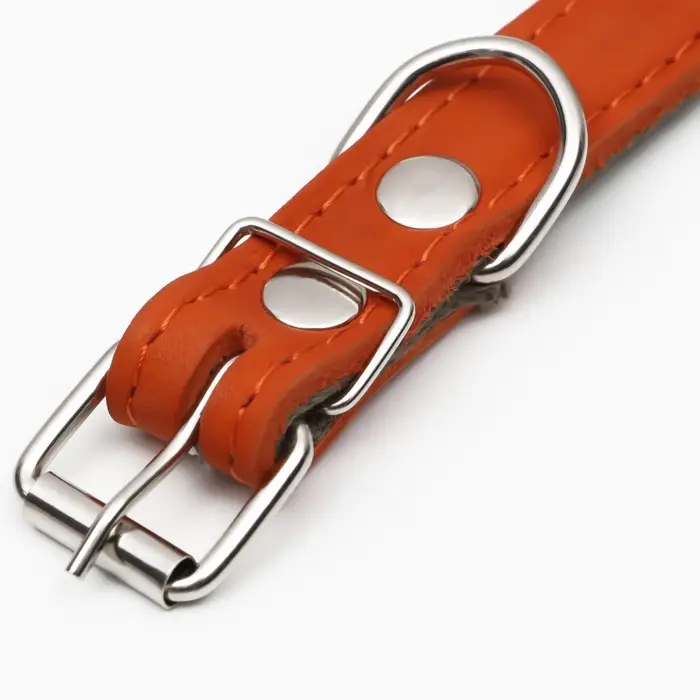 Ошейник комбинированный кожа/брезент, безразмерный, 54&times;2.5 см, ОШ 17-45 см, рыжий