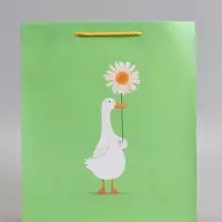 Пакет подарочный ламинированный "Ромашка" 26 х 12 х 32 см